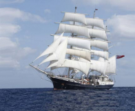Tenacious