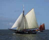 Frieda