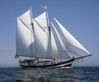 Abel Tasman